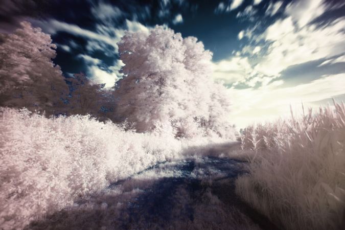 dream-filter-infrared-surreal (1)